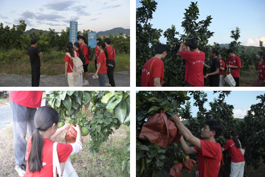 颜射
：深入走访调研 青春力量助力乡村振兴_fororder_图片8